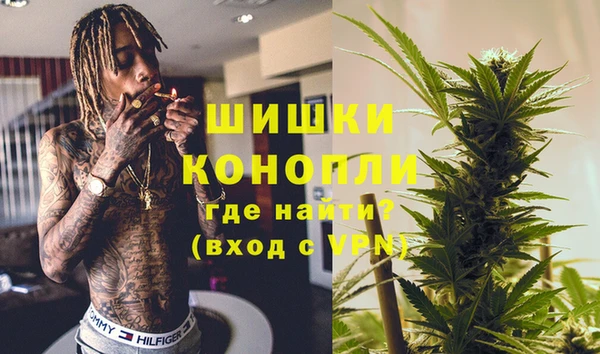 сатива Переславль-Залесский
