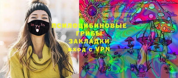 сатива Переславль-Залесский