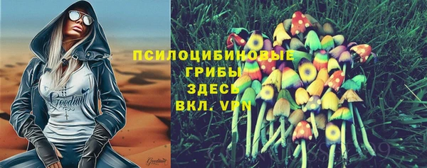 дживик Пестово