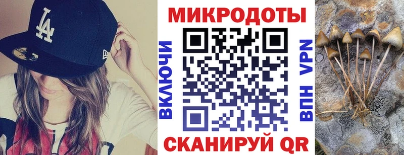 Купить  Белозерск  Галлюциногенные грибы Psilocybine cubensis 